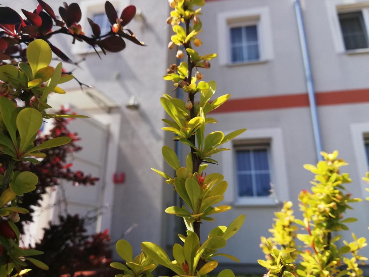Apartament Przy Parku Kornik Apartment ภายนอก รูปภาพ